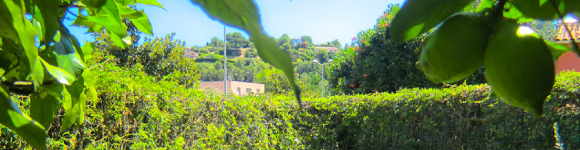 Post With Large Image